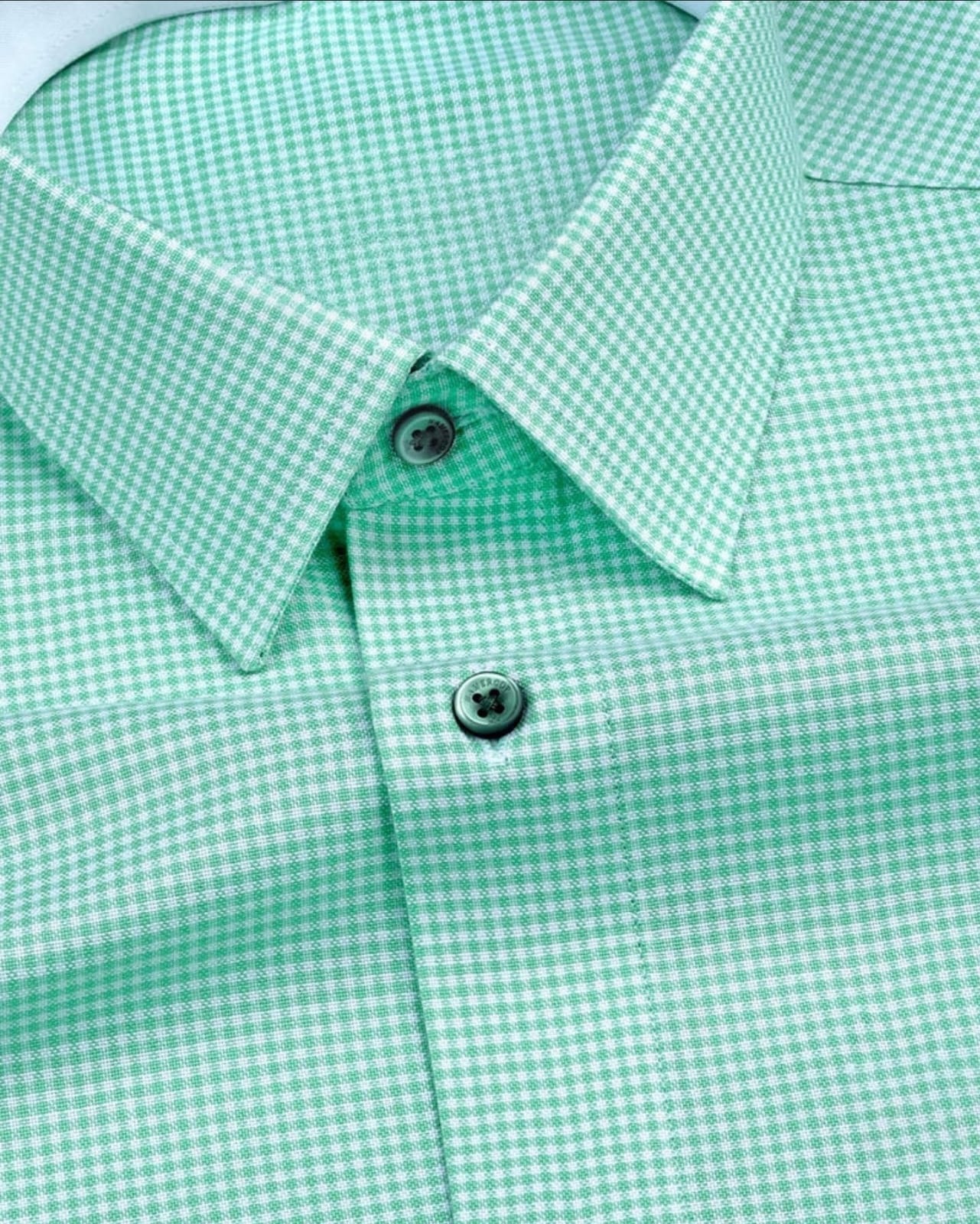 Men's Light Green Regular Fit Checks Full Sleeve Shirt - Goamen